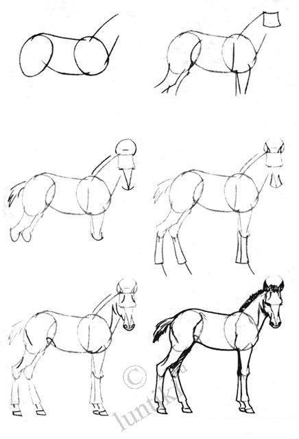 уроки рисования животных.