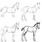 Рисунки поэтапно для начинающих , рисование животных - Лошадь