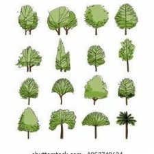 Совершенно простые способы рисования деревьев