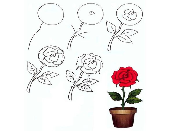 20 способов нарисовать красивую розу