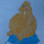 Поэтапное рисование с детьми - Морж или тюлень :)