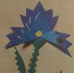 Лилия, гвоздика, роза - детские оригами - аппликации цветов из цветной бумаги