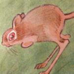 Рисование поэтапно для детей - животных: тушканчик, морская свинка и бобр