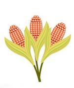 Букет "Необычная кукуруза" -  поделки из природного материала своими руками, фото