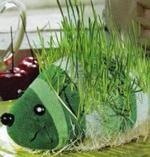 Травяной ежик - создаём у себя дома настоящее зелёное чудо