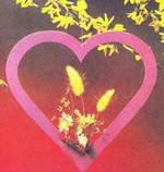 Поделка Сушёные цветы в сердечке - прекрасная идея для подарка -  дети делают сами