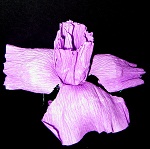 Ирисы - цветы из гофрированной бумаги