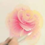 Урок рисования розы красками - Donna Dowberry